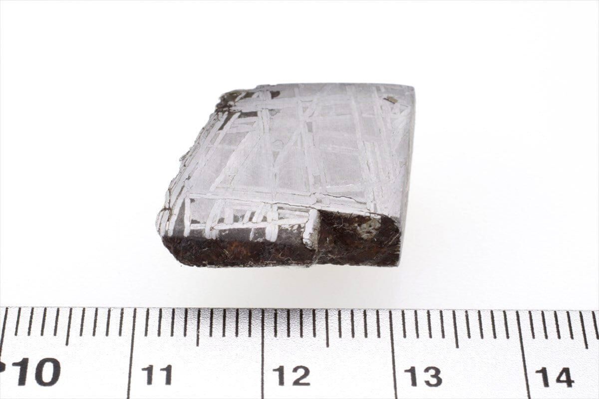 ムオニナルスタ ムオニオナルスタ 17g スライス カット 標本 隕石 
