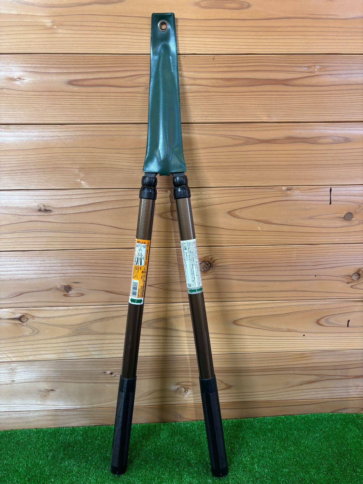 超特大　ザミオクルカス sp. 鉢のまま発送　塊根　コーデックス 特大 ザミオクルカス sp. 鉢のまま発送 塊根 コーデックスやや傷や汚れ