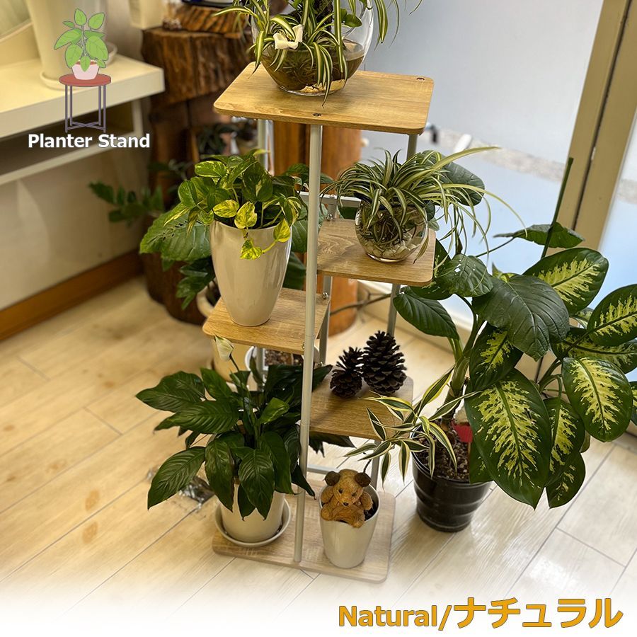 46 希少な花台 46 希少な花台 楽天市場】フラワースタンド アイアン