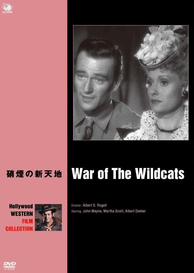 硝煙の新天地 DVD