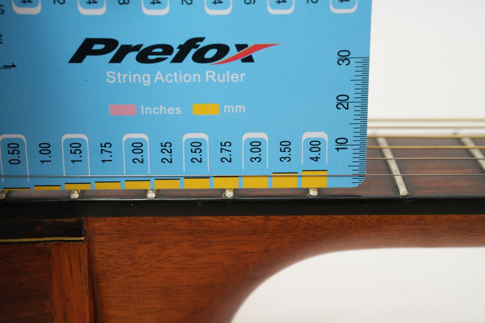 グランド オーディトリアム