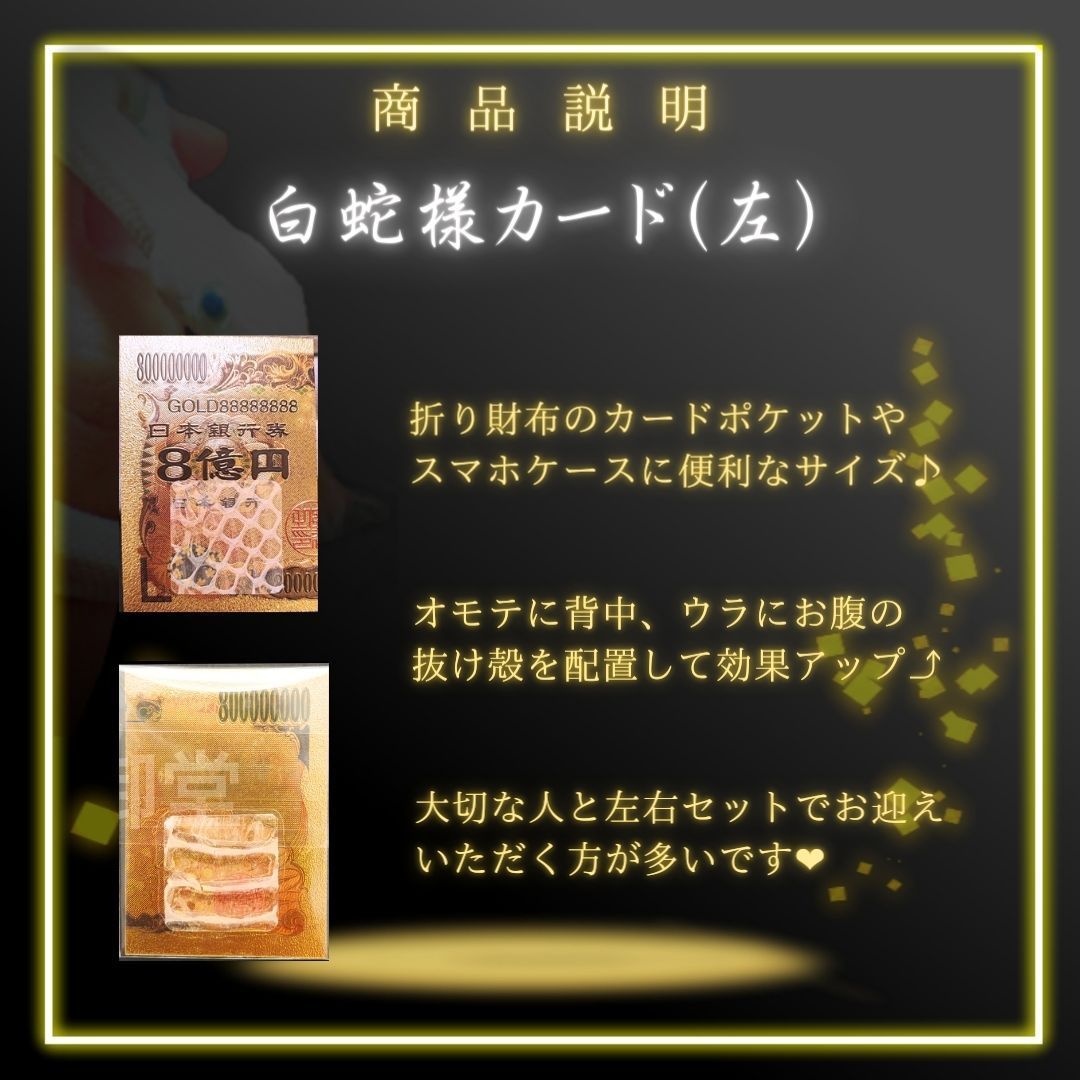 1【カード左】 白蛇の抜け殻 金運 お守り 折財布に！ 開運 - メルカリ