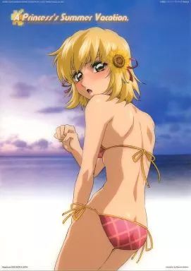 ラクス カガリ 機動戦士ガンダム フォトコレクション CellDX backend=imagemagick;version=1;