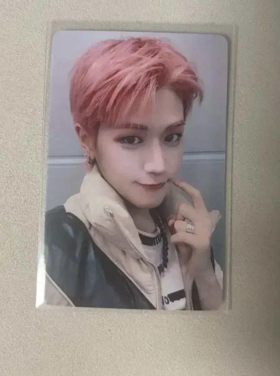 茶道具】松村景文筆 『蝶と葡萄』 絵 茶軸 掛軸B933 茶道具】松村景文筆『