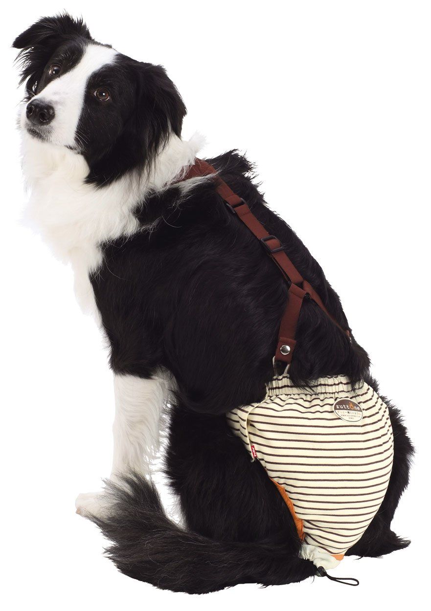 ペティオ Petio ずっとね おむつパンツK 中型犬用 2L 2L