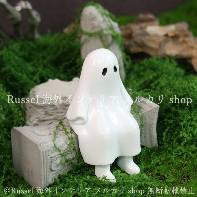 アガベ シャウィー short straw 斑入り