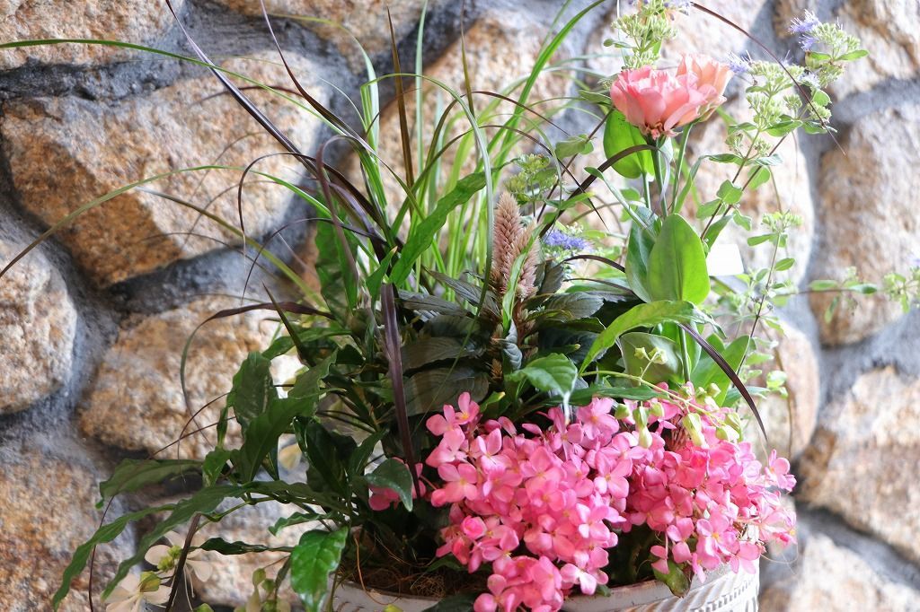 当店オリジナル