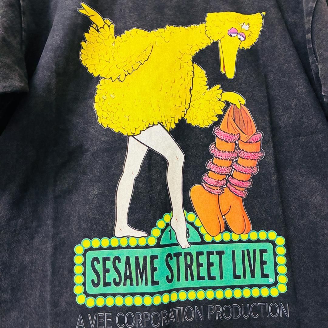 ビッグバード ケミカルウォッシュ リプリント Tシャツ 半袖 メンズ 