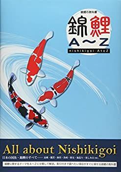 【中古】 錦鯉A~Z : 錦鯉 錦鯉A~Z 直接引取限定 泉州錦鯉さん代理出です #京阪錦鯉センター錦鯉