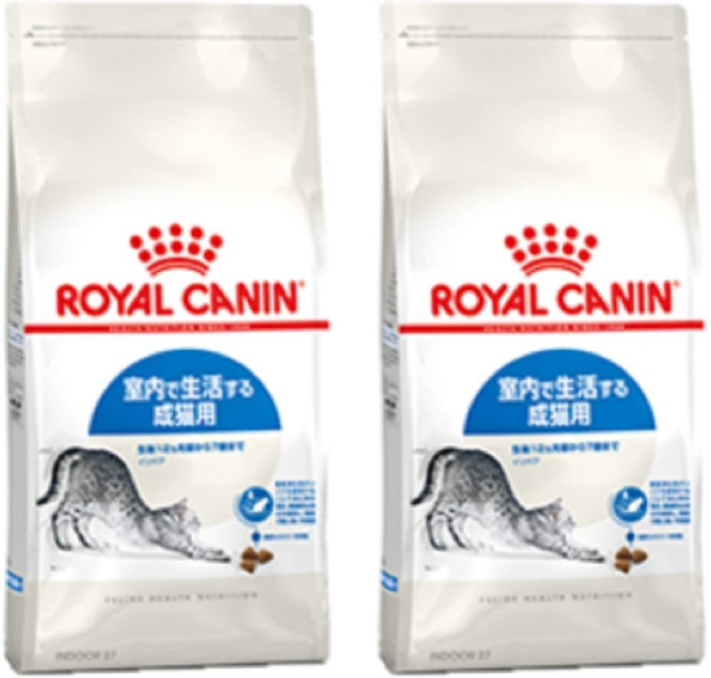 4月入荷 20粒+ サイカスsᴘシルバー（タイシルバー）植物検疫証明書