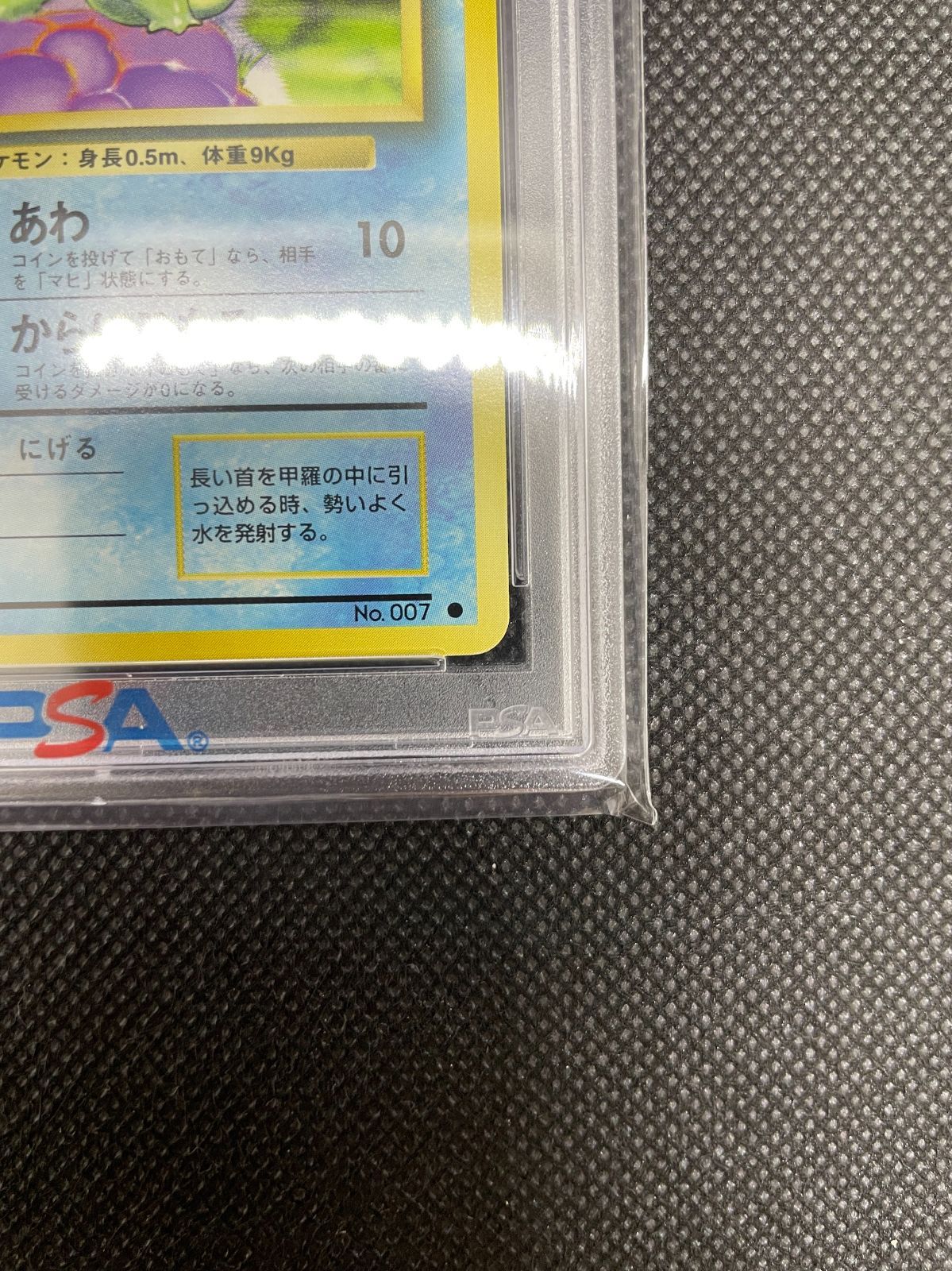 PSA鑑定品】旧裏 ゼニガメ LV.8 PSA10 ポケモンカード 拡張パック第一