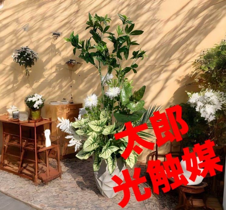 天然石 八海山石 横15縦7奥行き10 天然石 八海山石 横15縦7奥行き10