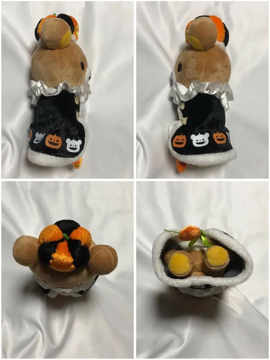 姓 コリラックマ