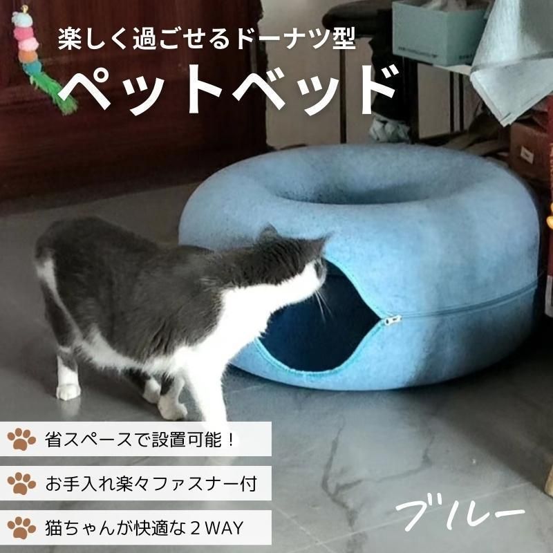 子猫 洗える