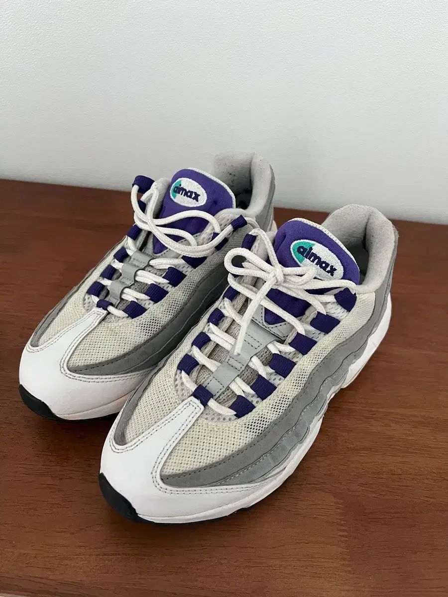 NIKE ナイキ エアマックス 95 グレープ ボラマッシュ 245