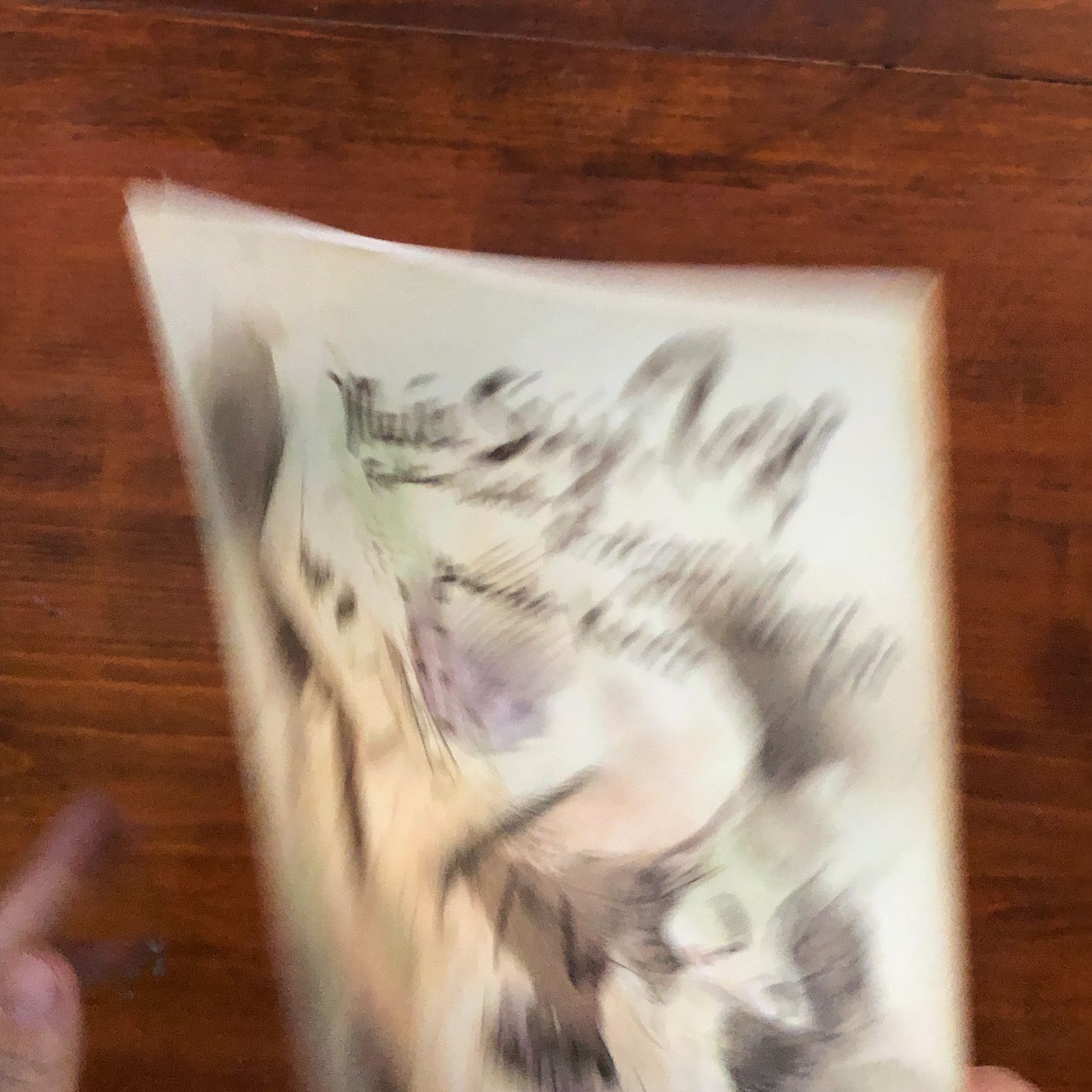 東郷青児作品集 改訂増補版 昭和52年 48p ☆図録 画集 aa5いynm1