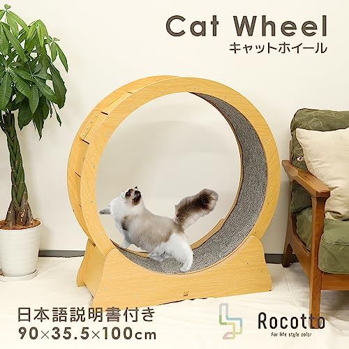 ランニングマシーン 猫の車輪