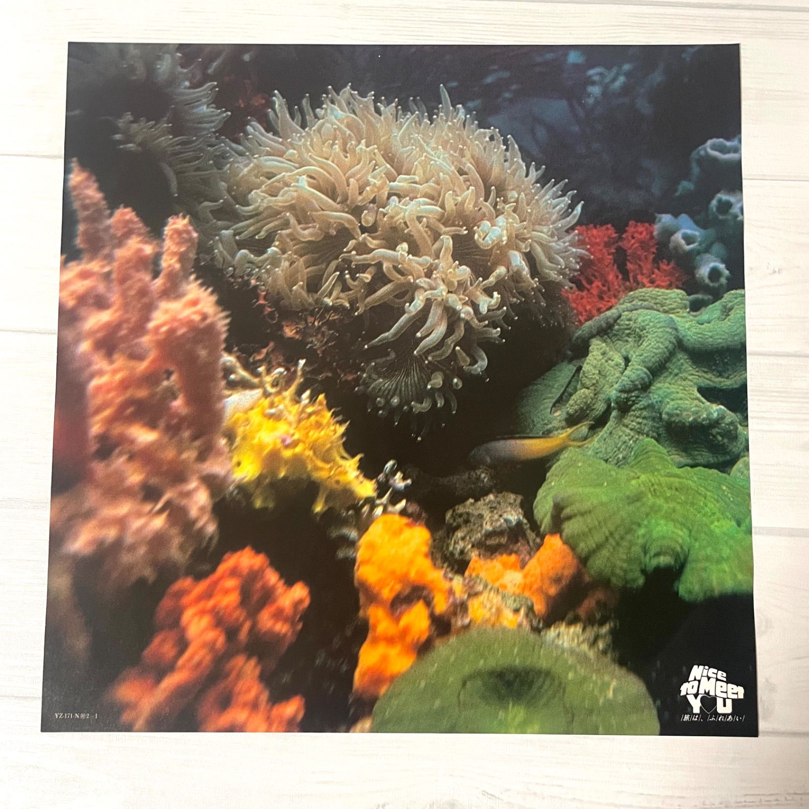 LP ☆送料無料 】 Various – / コーラル・アイランド The South