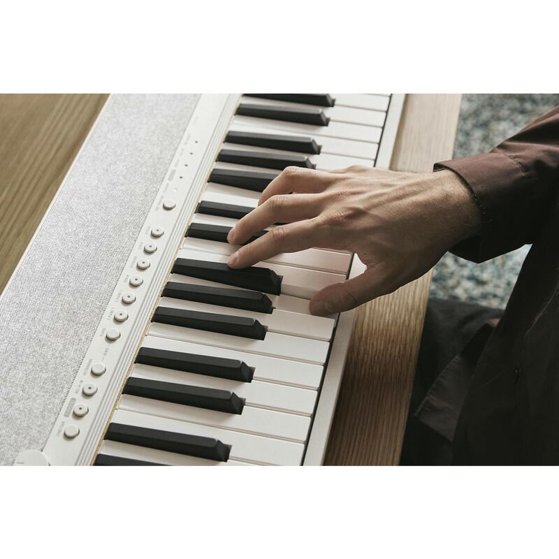 CASIO