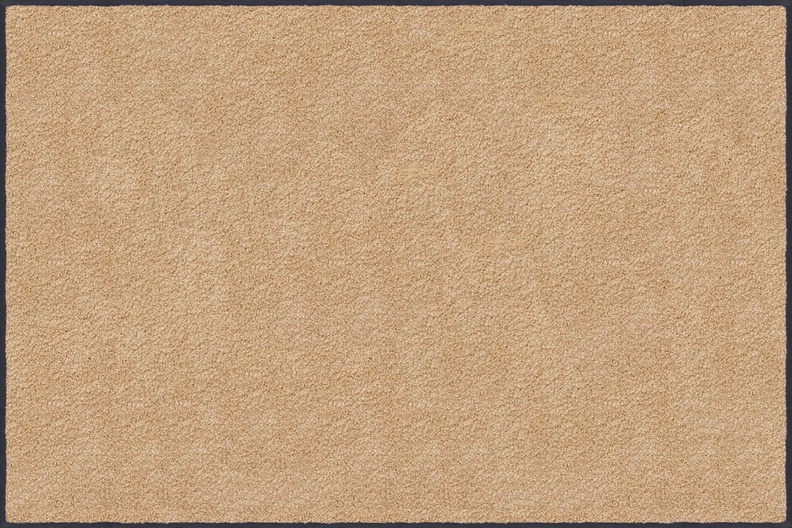 75×120cm シャンペーン AM00196 スタンダードマットS 万能玄関マット クリーンテックスジャパンKleen-Tex
