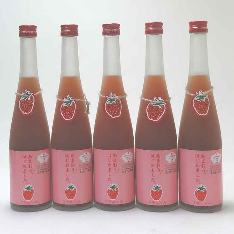 10本セット 篠崎おまおう梅酒10本セット 福岡県 500ml×10本