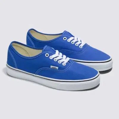 【雷市場（ポンジャン）商品韓国直送】VANS(バンズ) 彩色 オーセンティック ブルー 270
