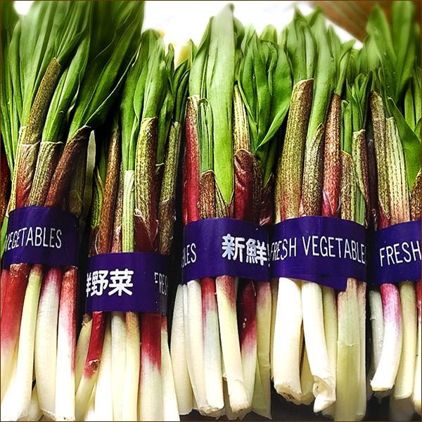 北海道産 山菜