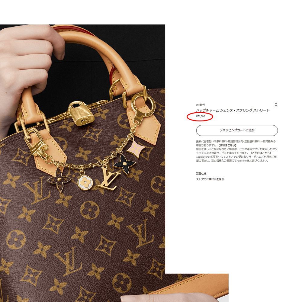 LOUIS VUITTON バッグチャーム M68999 - 小物