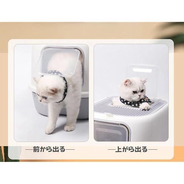掃除簡単