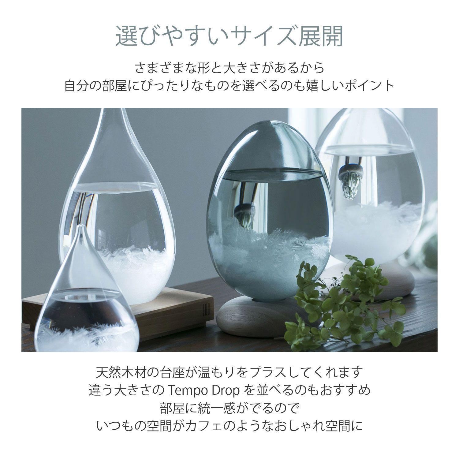 テンポパルスドーン