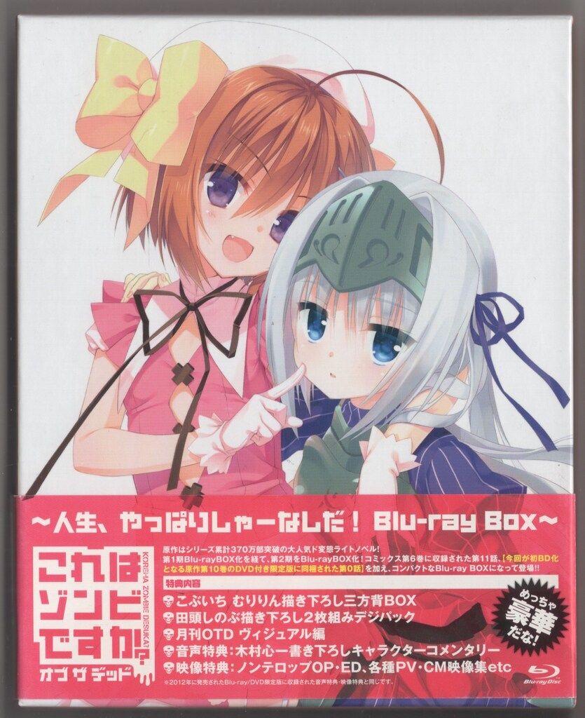 アニメBlu-ray これはゾンビですか?オブ ザ デッド人生 やっぱりしゃーなしだ!BDBOX