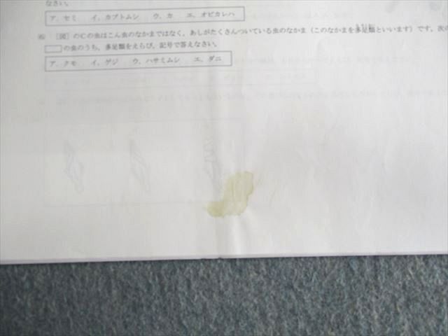 学園小4　国語、算数、理科　全教材あり　2019年版 進研ゼミ チャレンジ 小学4年生 問題集・漢検国語算数理科社会