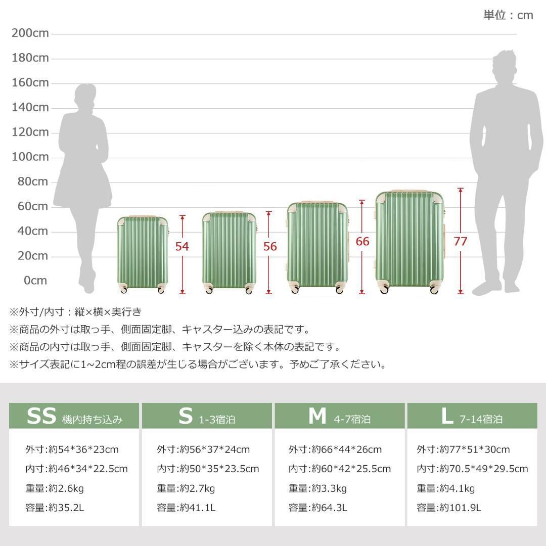 大型TSAロック yew2