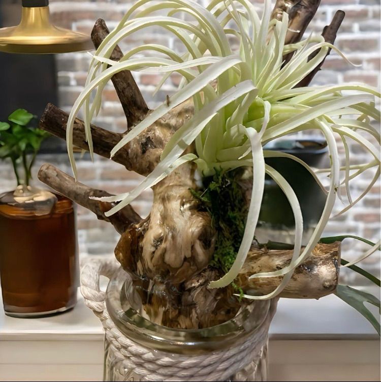 光触媒 人工観葉植物 ウォールグリーン フェイクグリーン 壁掛け 光触媒 人工観葉植物 ウォールグリーン フェイクグリーン 壁掛け