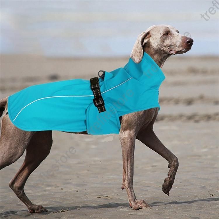 犬服