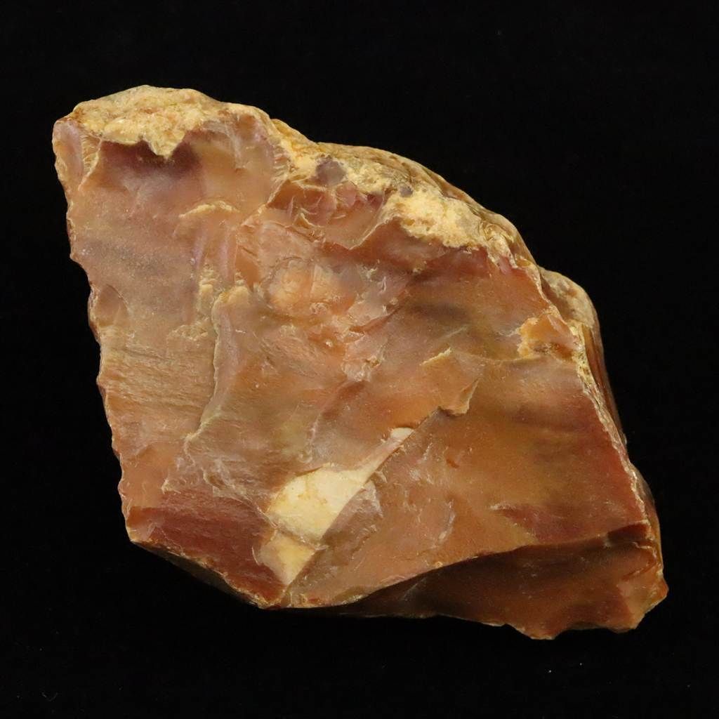 珪化木 木化石 18,7ｋｇ 忍耐・継続と平常心 ペトリファイドウッド 珪化木 木化石 18,7kg 忍耐・継続と平常心 ペトリファイドウッド