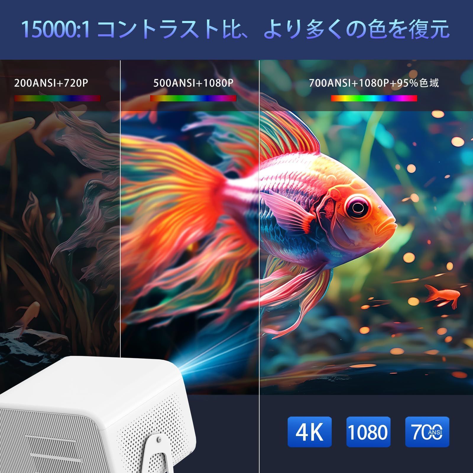 700ANSI