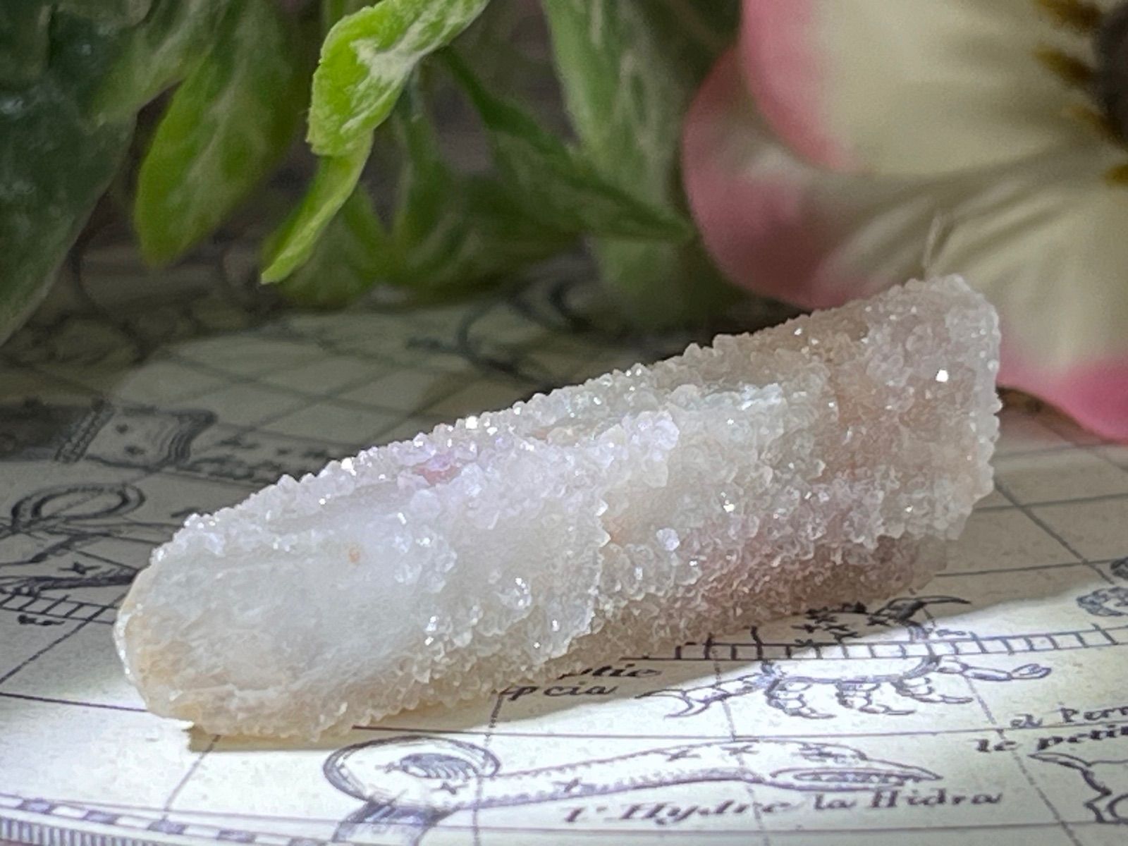 精霊を呼ぶ石✨ 変種 カクタスアメジスト サボテン水晶 ラフストーン