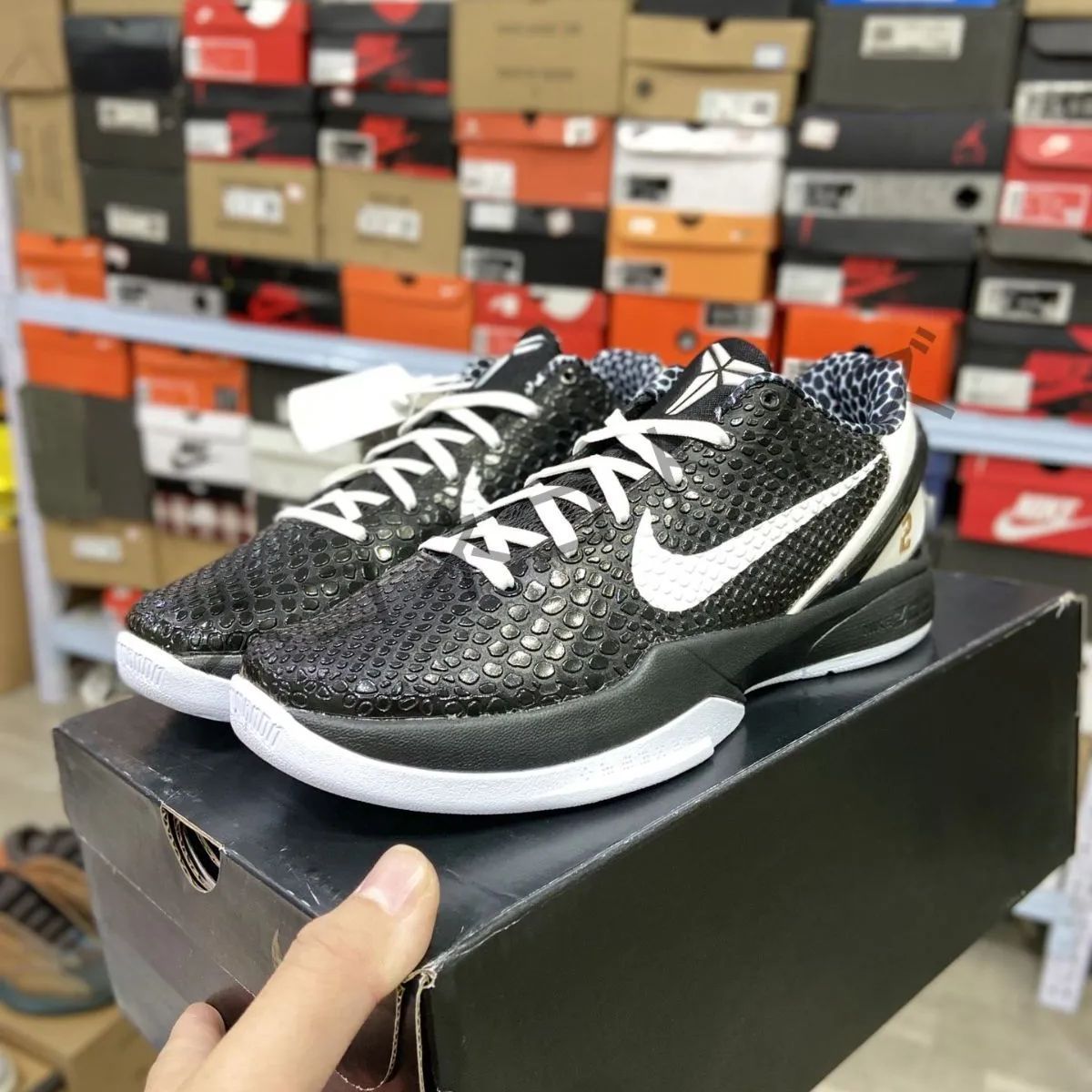 美品箱付  Nike Kobe 6 Protro VI コービー6 プロトロ  メンズ  スニーカー D