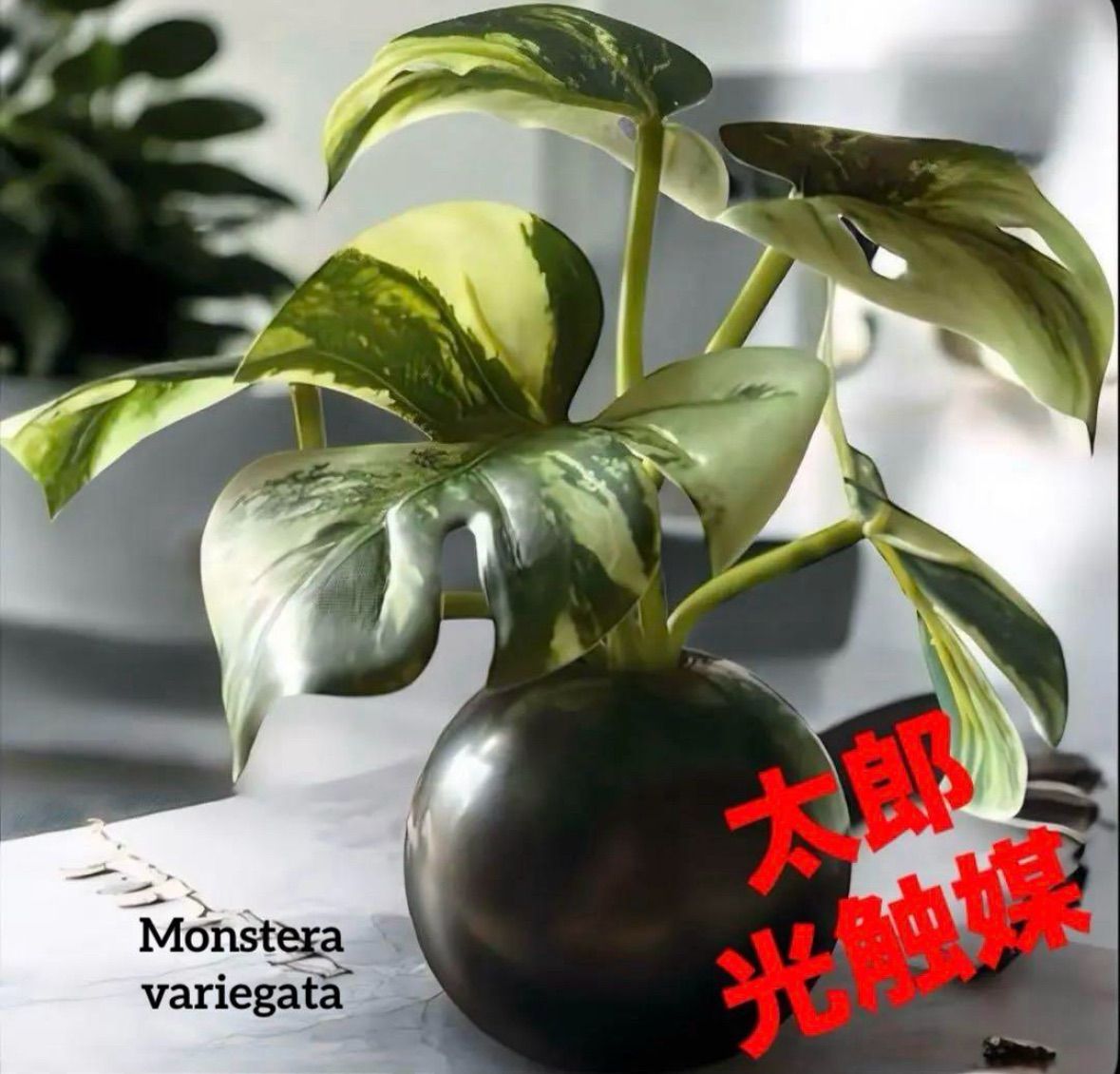 光触媒　人工観葉植物　ウォールグリーン　フェイクグリーン　モンステラ12080 光触媒 人工観葉植物 ウォールグリーン フェイクグリーン
