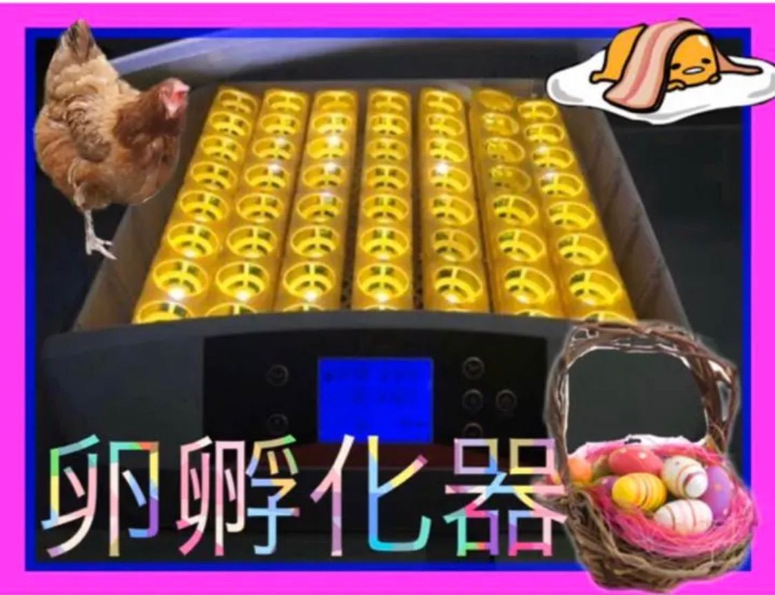 LED 鳥類 孵卵器 孵化JIS鶏卵サイズで56個 自動転卵