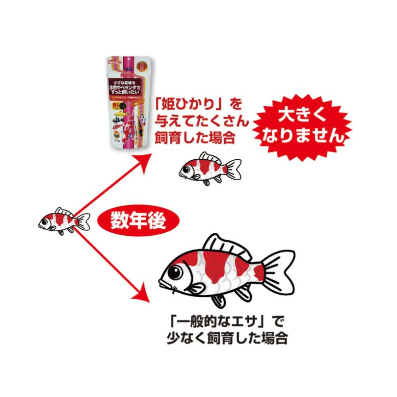 飼料