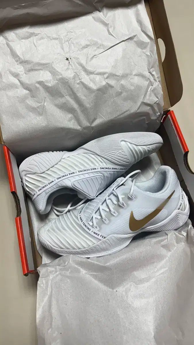 NIKE ナイキ フェンシングシューズ 245 サイズ