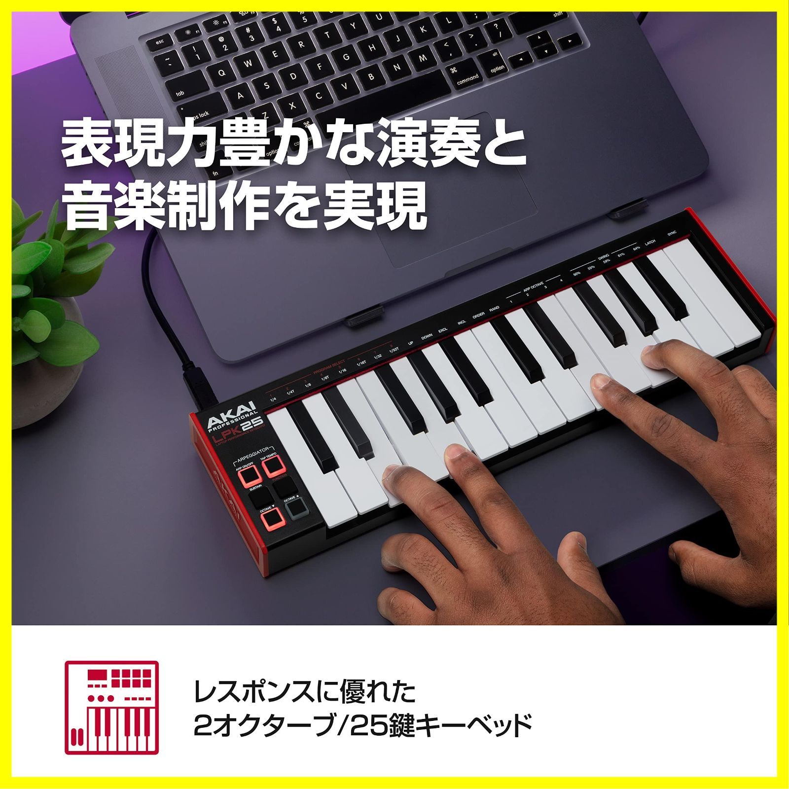 人気商品】，【特価商品】，【特価】PC対応 Mac/Win 音楽制作ソフトウェア付属 LPK25 25鍵