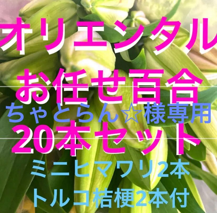 贅沢 ラン様専用