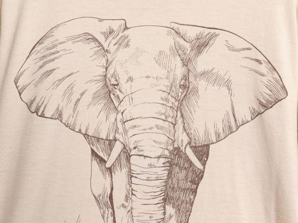 躍動感ある象の絵画 広大な