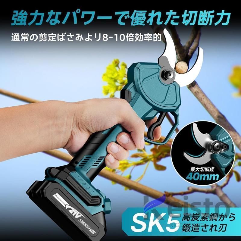 庭木