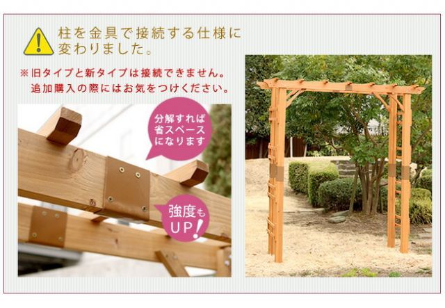 ツタ