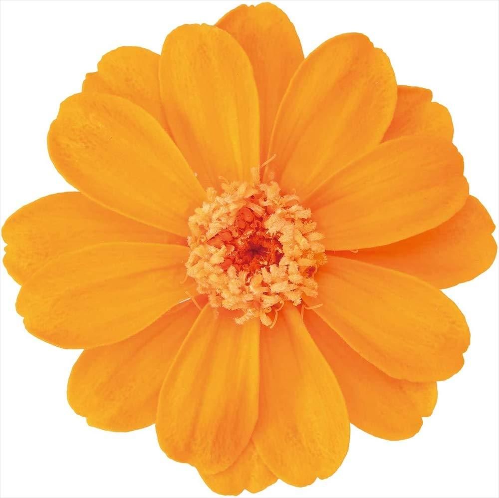 真作】絵画 油彩8号 木立の向こうの白い家 異国情緒あふれる風景画 W93