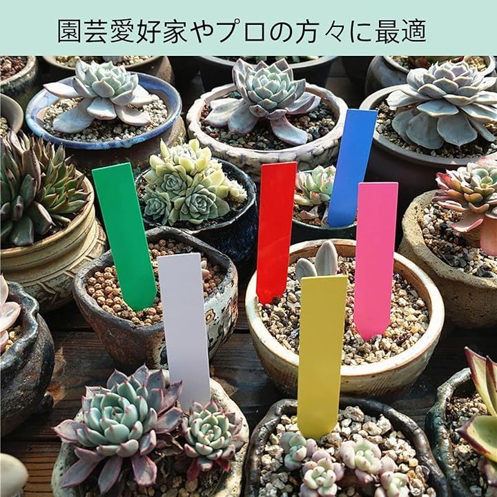 ユアクト 大量600枚入り 植物ラベル 園芸用 苗木 盆栽 植物ラベル再使用可能 たんざくラベル 立型ラベル 盆栽タグ 花卉挿入ラベル